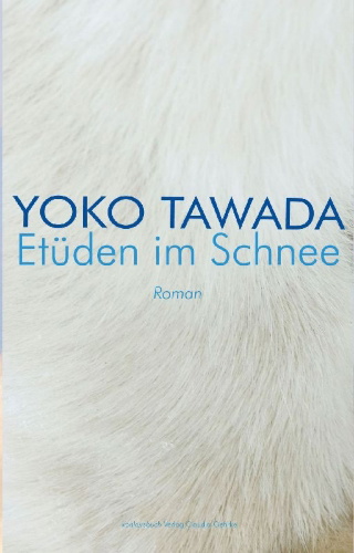 Buchcover und Innenansicht für das Buch: Etüden im Schnee