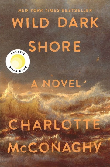 Buchcover und Innenansicht für das Buch: Wild Dark Shore