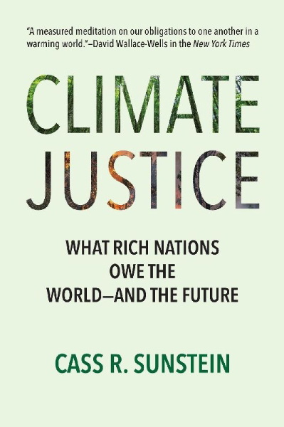 Buchcover und Innenansicht für das Buch: Climate Justice