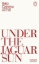 Buchcover und Innenansicht für das Buch: Under the Jaguar Sun