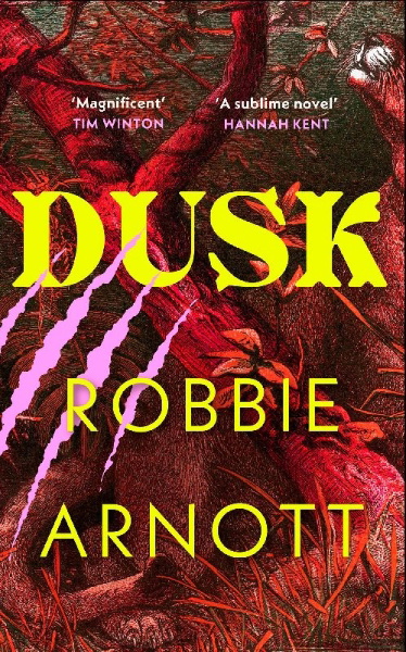 Buchcover und Innenansicht für das Buch: Dusk