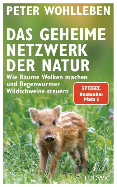Buchcover und Innenansicht für das Buch: Das geheime Netzwerk der Natur