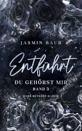 Buchcover und Innenansicht für das Buch: Entführt