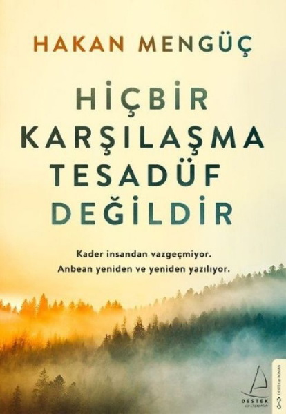 Buchcover und Innenansicht für das Buch: Hicbir Karsilasma Tesadüf Degildir