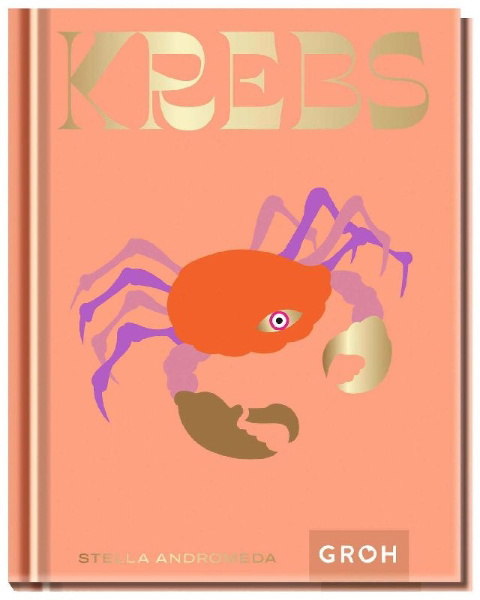 Buchcover und Innenansicht für das Buch: SEEING STARS Cancer