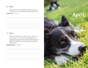 Buchcover und Innenansicht für das Buch: Mit Hunden durch das Jahr