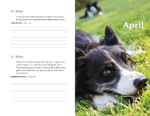 Buchcover und Innenansicht für das Buch: Mit Hunden durch das Jahr