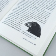 Buchcover und Innenansicht für das Buch: Improbable Destinies