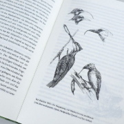 Buchcover und Innenansicht für das Buch: Improbable Destinies