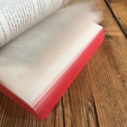 Buchcover und Innenansicht für das Buch: Breaking Dawn