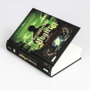 Buchcover und Innenansicht für das Buch: Disney. Twisted Tales: Der verzaubernde Magier (Tiana aus 'Küss den Frosch')