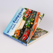 Buchcover und Innenansicht für das Buch: Welches Fahrzeug fährt denn hier?