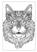 Buchcover und Innenansicht für das Buch: Mandala Malbuch Katzen für Kinder ab 8 Jahren, Teenager und Erwachsene mit 50 schönen Ausmalmotiven
