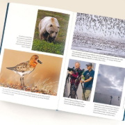 Buchcover und Innenansicht für das Buch: A World on the Wings: the global Odyssey of Migratory Birds
