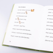 Buchcover und Innenansicht für das Buch: Das große Buch zum Lesenlernen