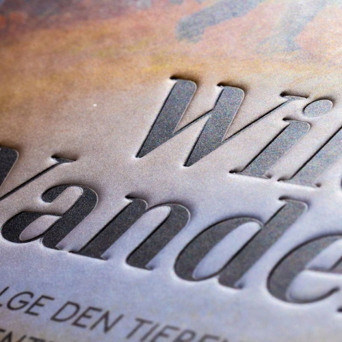Buchcover und Innenansicht für das Buch: Wilde Wanderer