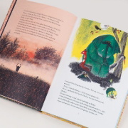 Buchcover und Innenansicht für das Buch: Is er dan niemand boos?