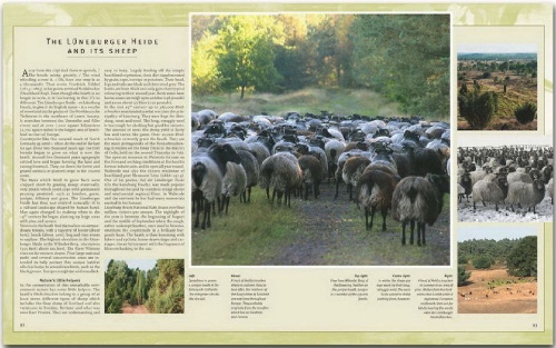 Buchcover und Innenansicht für das Buch: Reise durch Niedersachsen