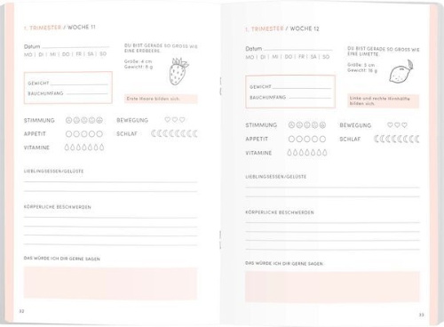 Buchcover und Innenansicht für das Buch: Babyplaner