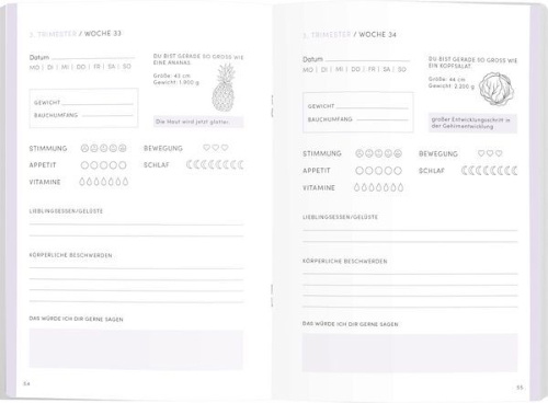 Buchcover und Innenansicht für das Buch: Babyplaner