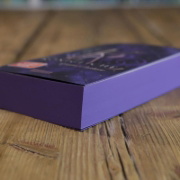 Buchcover und Innenansicht für das Buch: Bitterblue