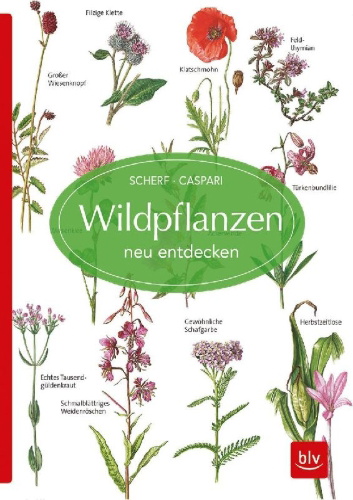 Buchcover und Innenansicht für das Buch: Wildpflanzen neu entdecken