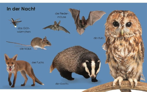 Buchcover und Innenansicht für das Buch: Erstes Lernen mini. Tiere