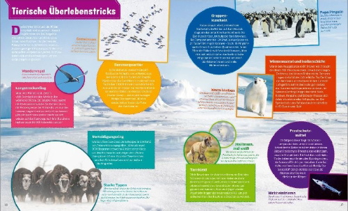 Buchcover und Innenansicht für das Buch: WAS IST WAS Polarstern. Forschen im Eis