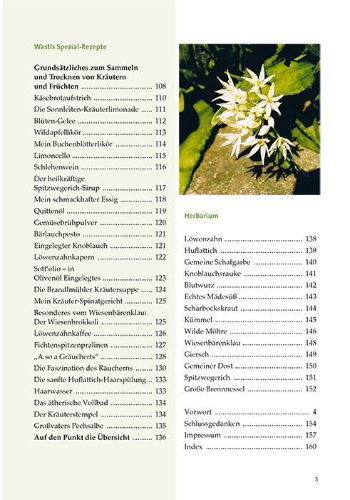 Buchcover und Innenansicht für das Buch: Kräuterwastls Weg