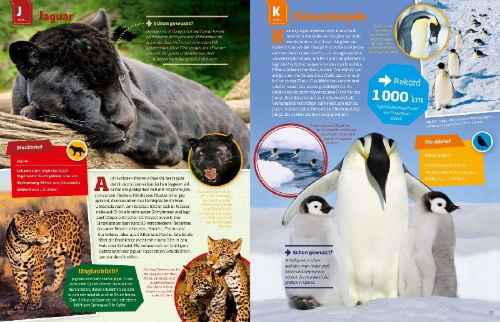 Buchcover und Innenansicht für das Buch: WAS IST WAS Geniale Tiere ... und ihre Tricks