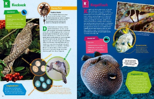 Buchcover und Innenansicht für das Buch: WAS IST WAS Geniale Tiere ... und ihre Tricks