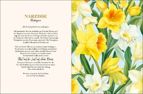Buchcover und Innenansicht für das Buch: Die geheimnisvollen Botschaften der Blumen