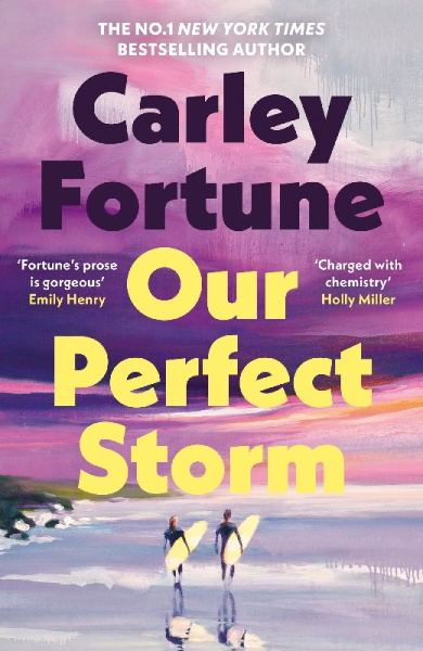 Buchcover und Innenansicht für das Buch: Our Perfect Storm