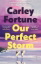 Buchcover und Innenansicht für das Buch: Our Perfect Storm