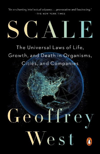 Buchcover und Innenansicht für das Buch: Scale