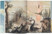 Buchcover und Innenansicht für das Buch: Paläo-Art: Darstellungen der Urgeschichte