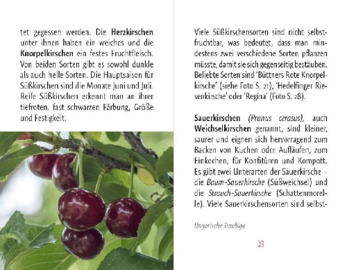 Buchcover und Innenansicht für das Buch: Kirschen