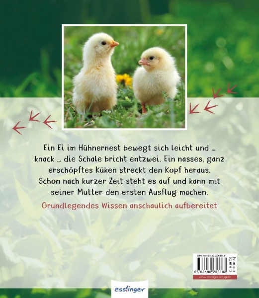 Buchcover und Innenansicht für das Buch: Meine große Tierbibliothek: Das Huhn