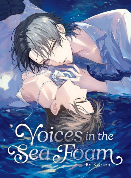 Buchcover und Innenansicht für das Buch: Voices in the Sea Foam