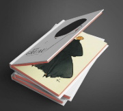 Buchcover und Innenansicht für das Buch: René Gruau