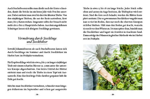 Buchcover und Innenansicht für das Buch: Das große kleine Buch: Mein Naschgarten