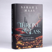 Buchcover und Innenansicht für das Buch: Kingdom of Ash