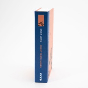 Buchcover und Innenansicht für das Buch: Fear of Flying