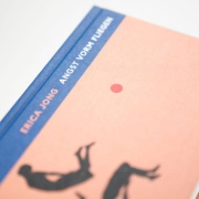 Buchcover und Innenansicht für das Buch: Fear of Flying