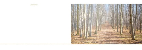 Buchcover und Innenansicht für das Buch: Escape Christmas