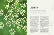 Buchcover und Innenansicht für das Buch: Die "Unkräuter" in meinem Garten