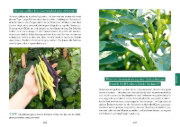 Buchcover und Innenansicht für das Buch: Das Gemüsegarten 1 x 1