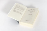 Buchcover und Innenansicht für das Buch: Precipice
