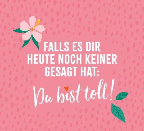 Buchcover und Innenansicht für das Buch: Sei die Heldin deines Lebens