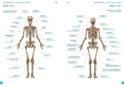 Buchcover und Innenansicht für das Buch: Wörterbuch Medizin Deutsch-Ukrainisch, Ukrainisch-Deutsch mit zweisprachigen Anatomietafeln